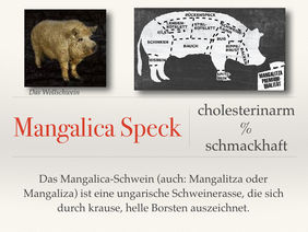 Mangalica Speck – Hochwertiges Fleisch vom ungarischen Wollschwein.